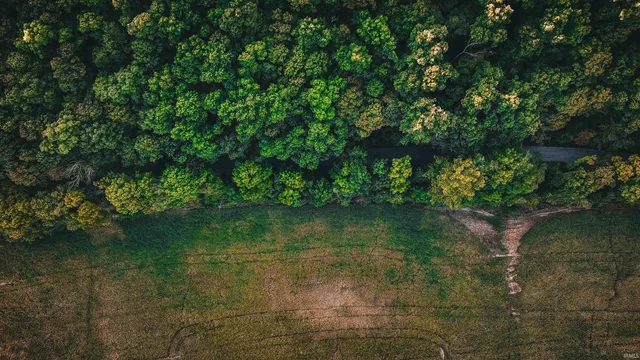 $73,900 | 0 Braysville Road, Spencer, IN 47460