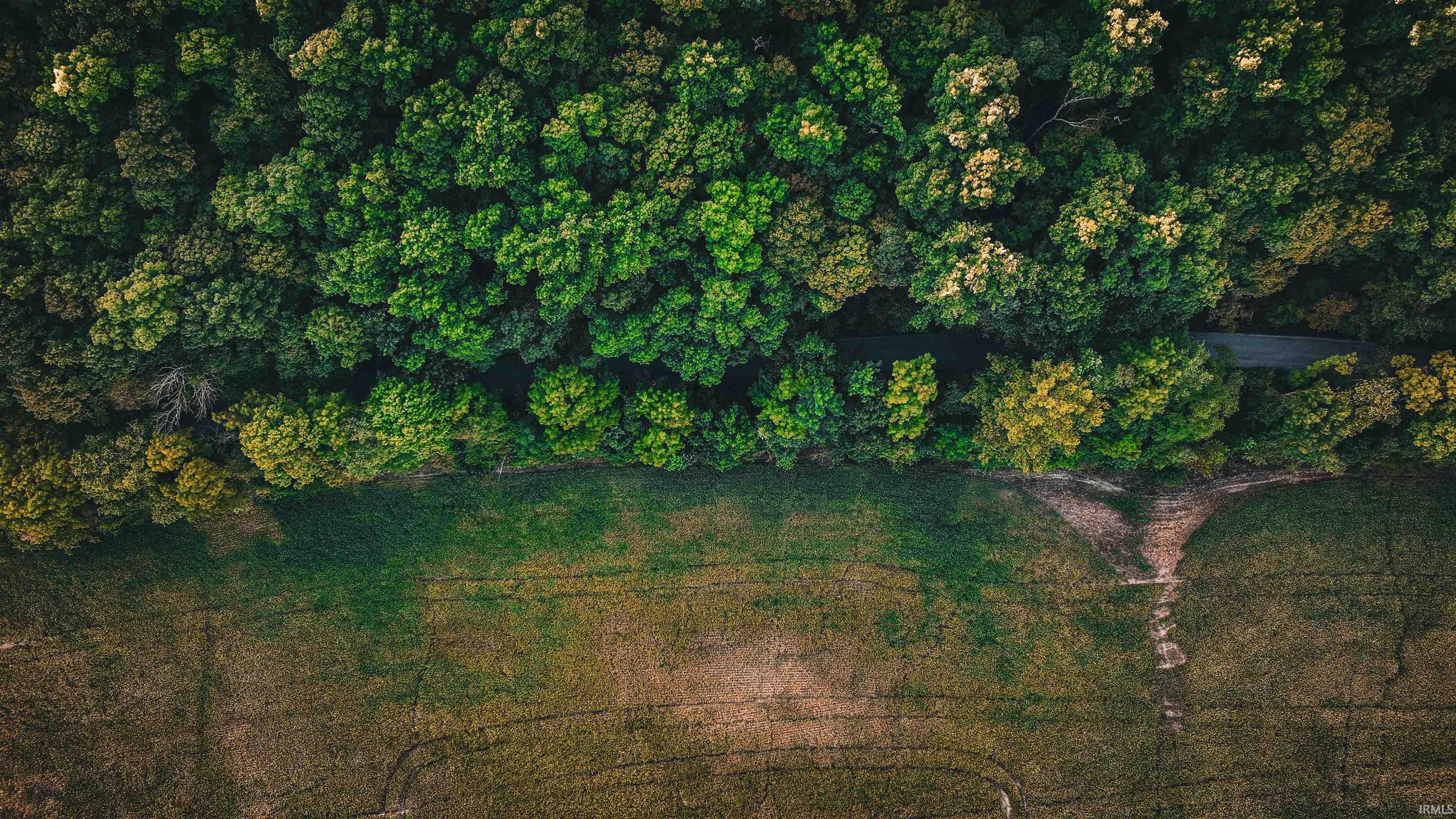 0 Braysville Road Spencer, IN 47460 - Photo 11 of 13