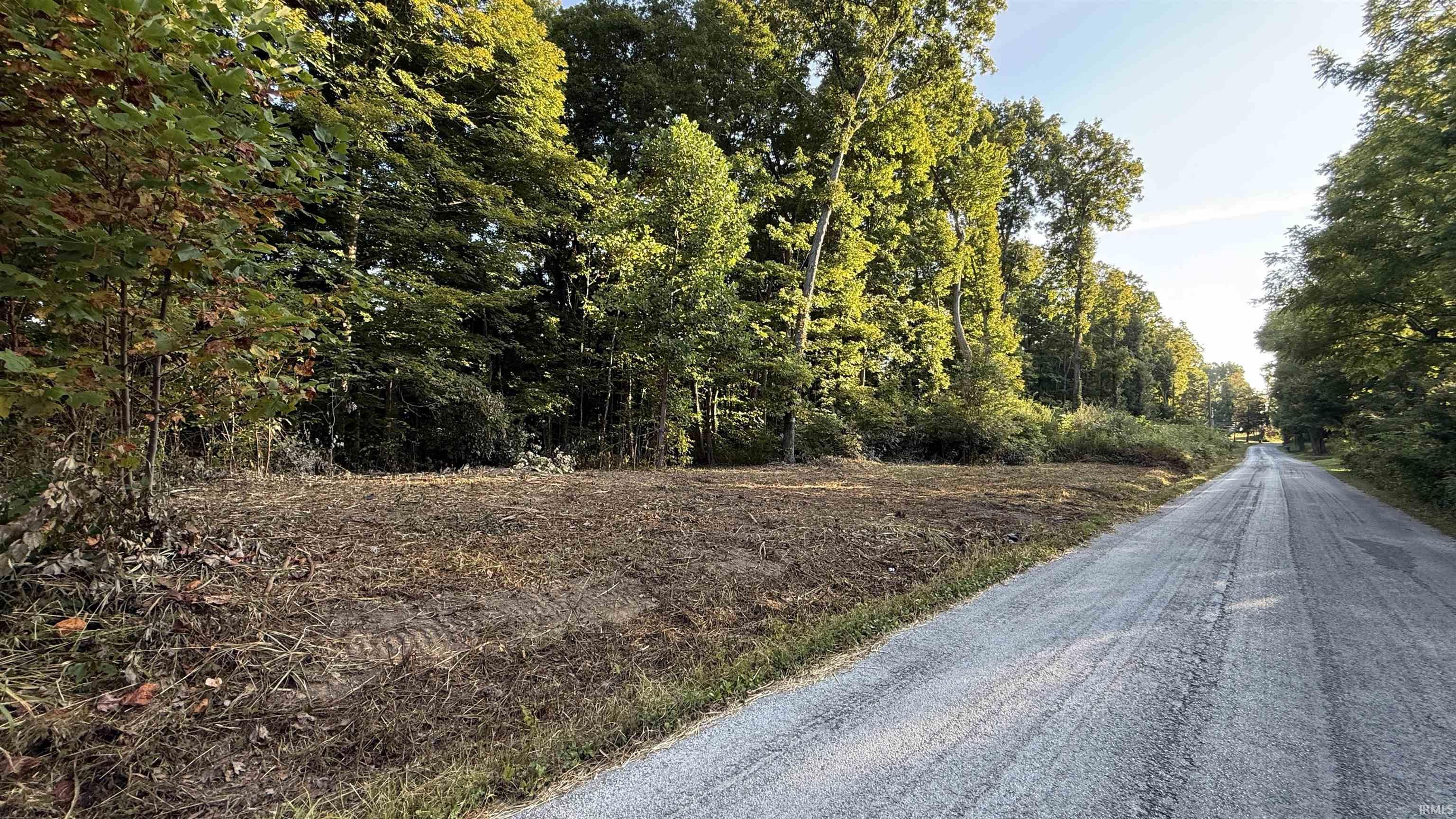 0 Braysville Road Spencer, IN 47460 - Photo 2 of 13