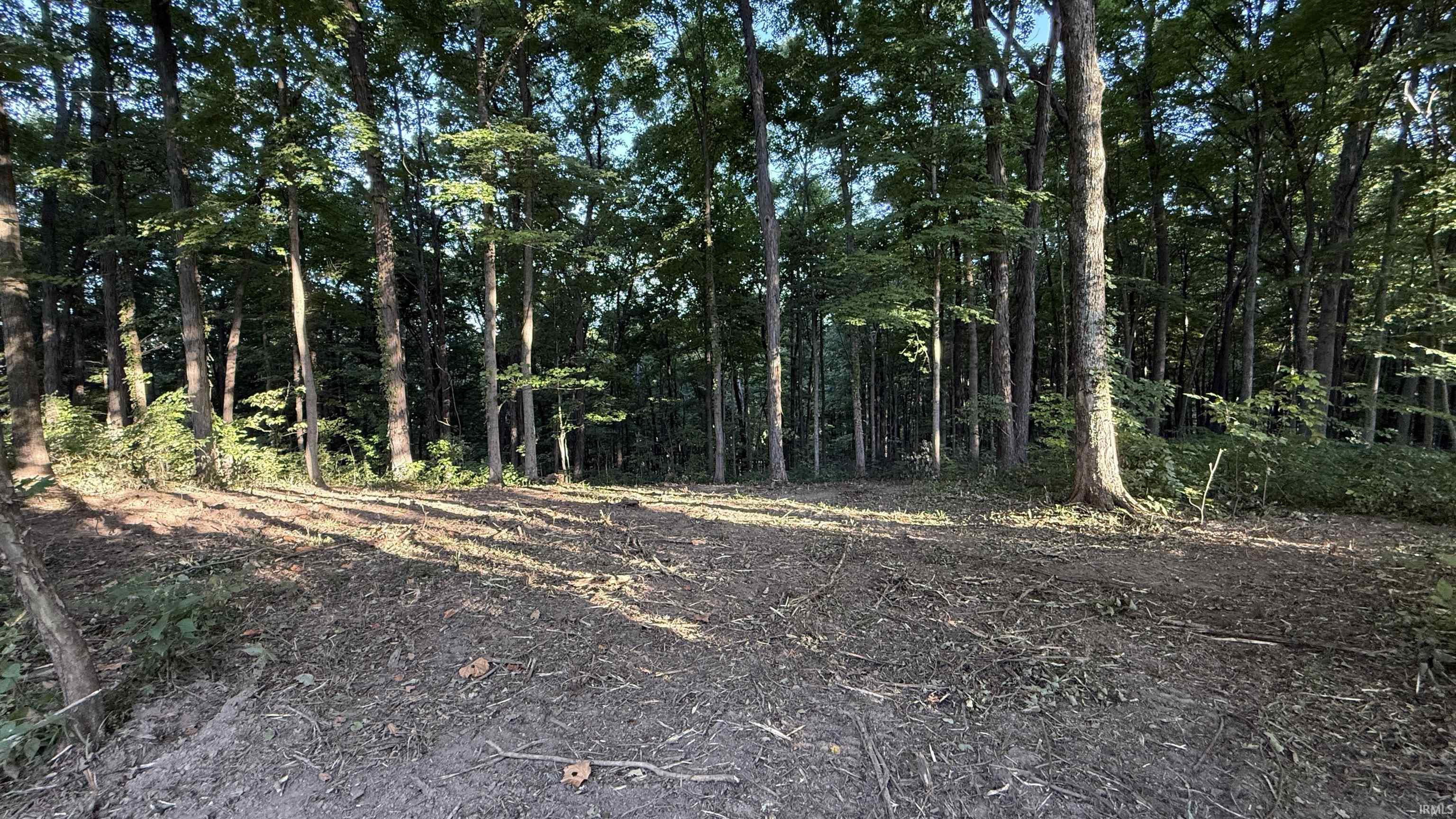 0 Braysville Road Spencer, IN 47460 - Photo 4 of 13