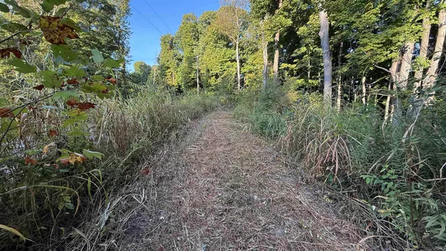 $73,900 | 0 Braysville Road, Spencer, IN 47460