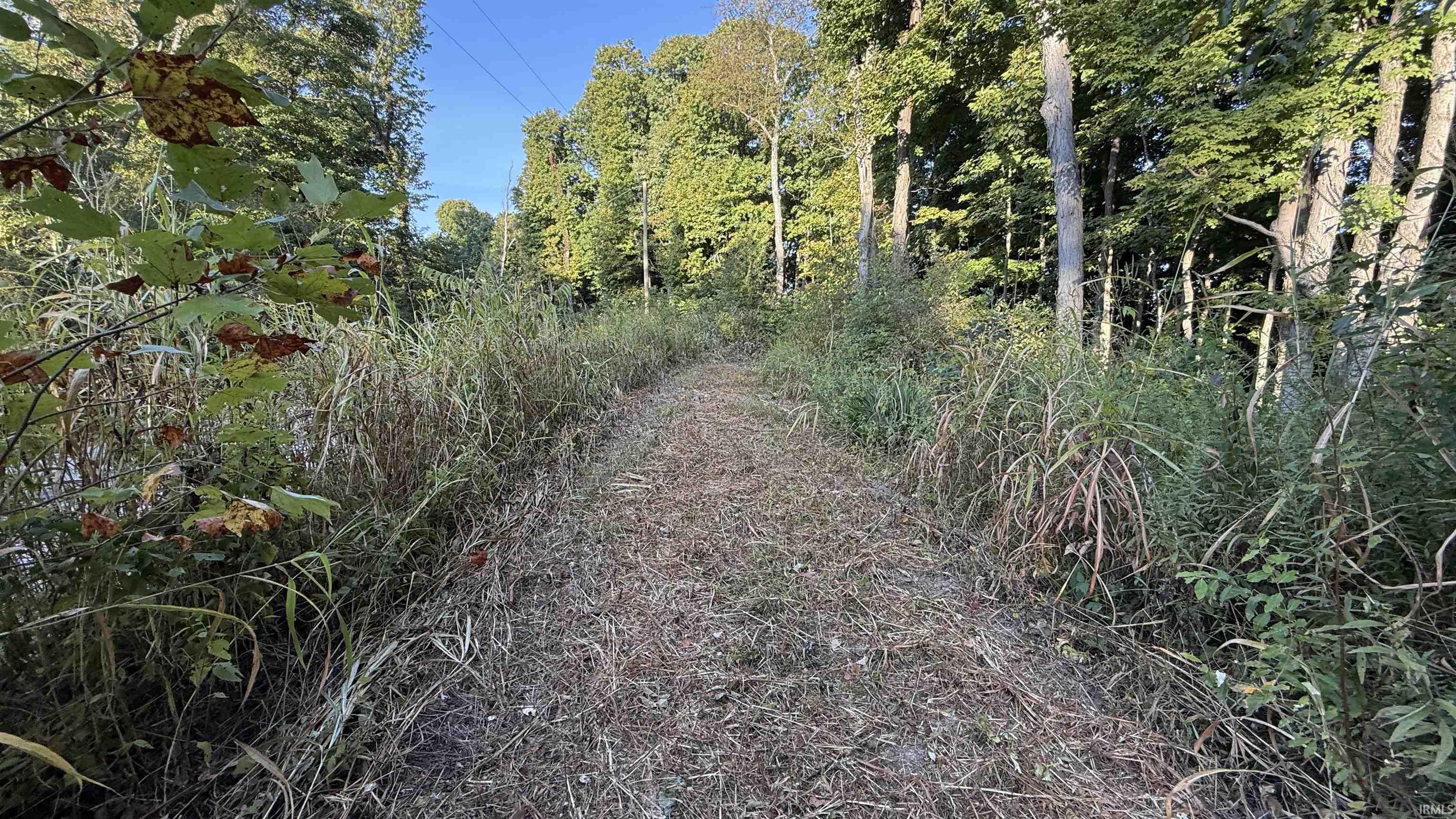 0 Braysville Road Spencer, IN 47460 - Photo 5 of 13