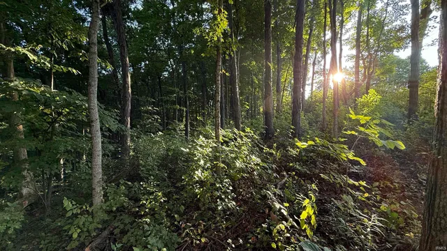 $73,900 | 0 Braysville Road, Spencer, IN 47460