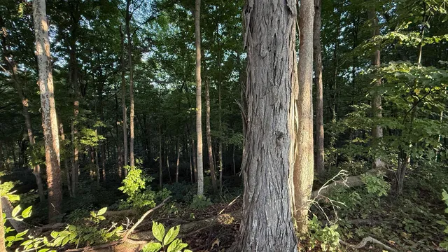 $73,900 | 0 Braysville Road, Spencer, IN 47460