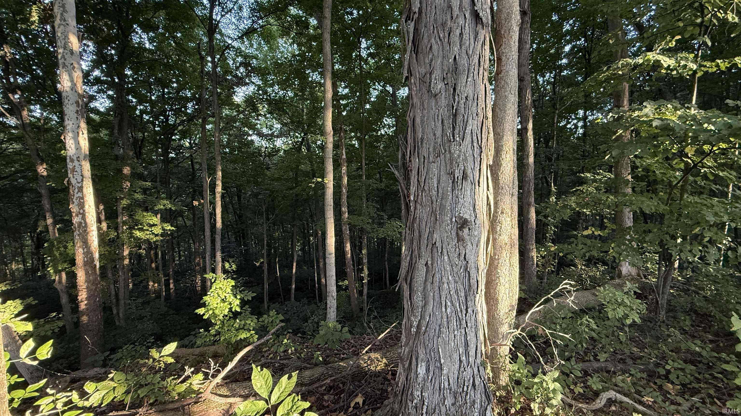 0 Braysville Road Spencer, IN 47460 - Photo 7 of 13