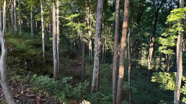 $73,900 | 0 Braysville Road, Spencer, IN 47460