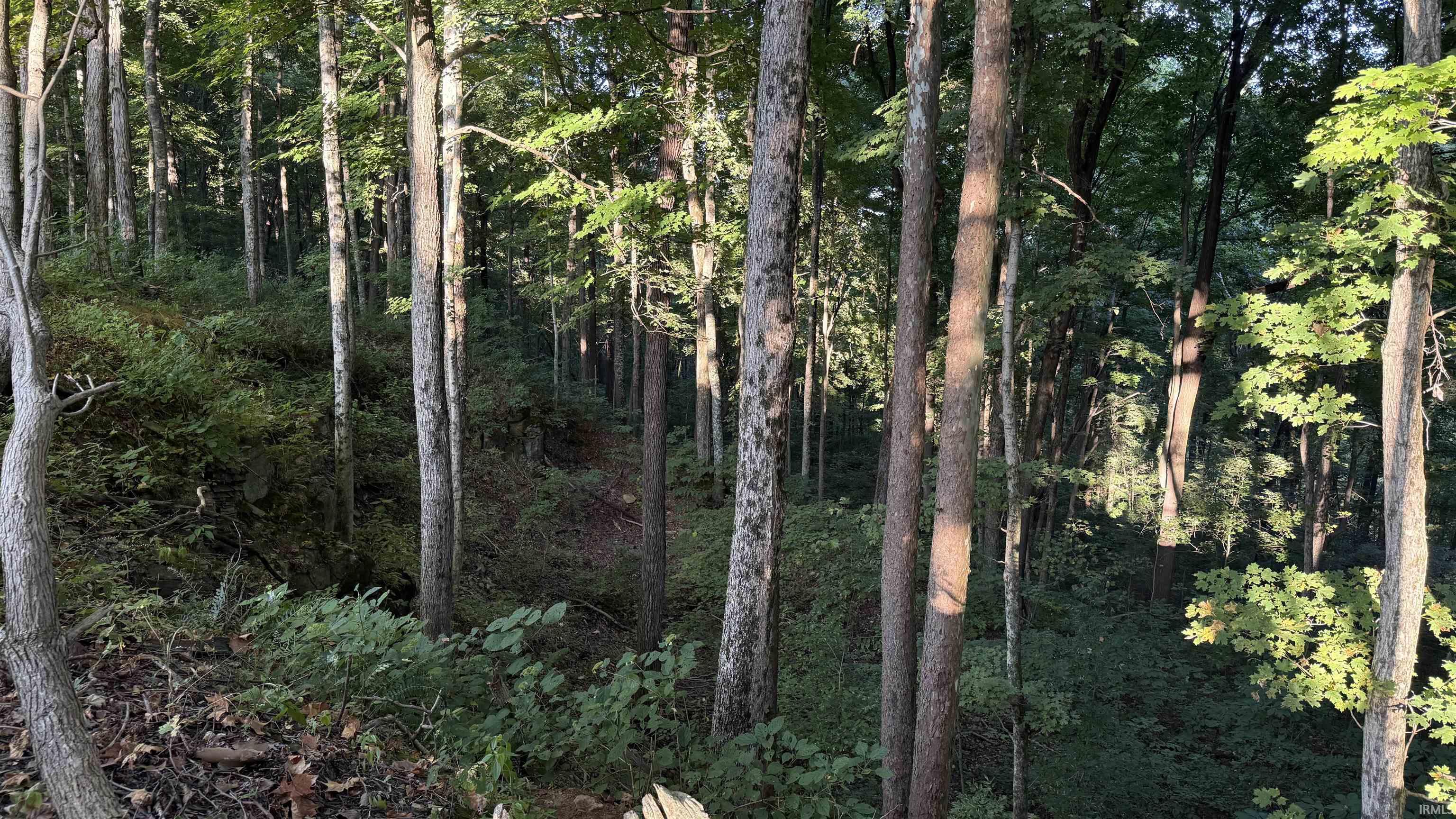 0 Braysville Road Spencer, IN 47460 - Photo 8 of 13