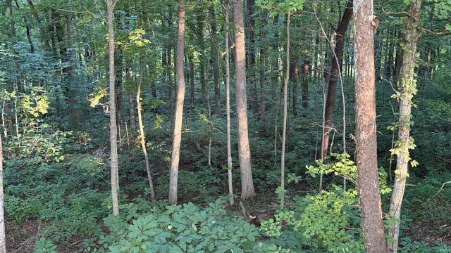 $73,900 | 0 Braysville Road, Spencer, IN 47460