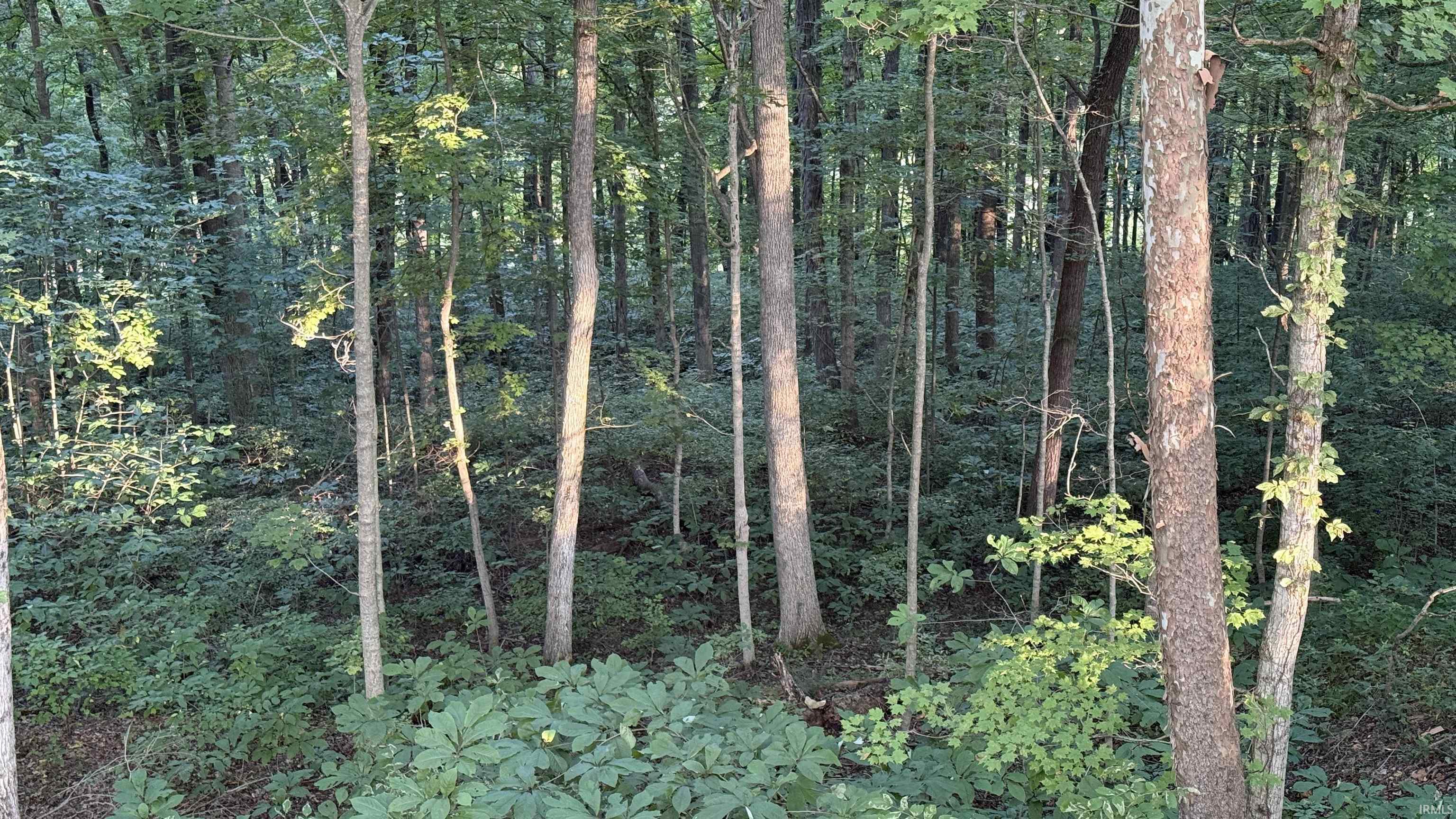 0 Braysville Road Spencer, IN 47460 - Photo 9 of 13