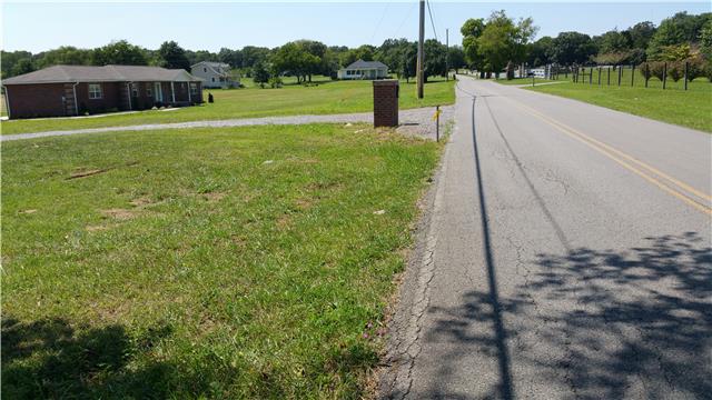 1918 Bluebird Road Lebanon, TN 37087 - Photo 11 of 17 Est over 480 ft of road frontage
