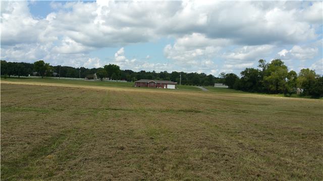 1918 Bluebird Road Lebanon, TN 37087 - Photo 12 of 17 From back side of property,