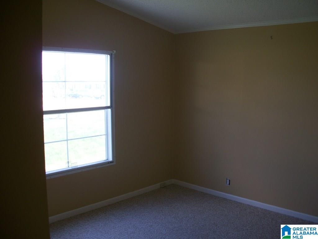 502 Robanna Circle Ohatchee, AL 36271 - Photo 28 of 44