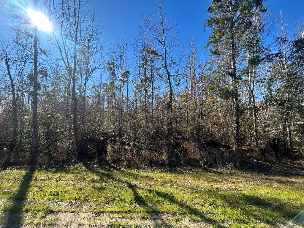 5.296-ac 5.296-ac Road Cottonwood, AL 36320 - Photo 7 of 21