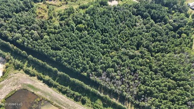 $320,000 | Oak Drive, Brandon, MS 39047