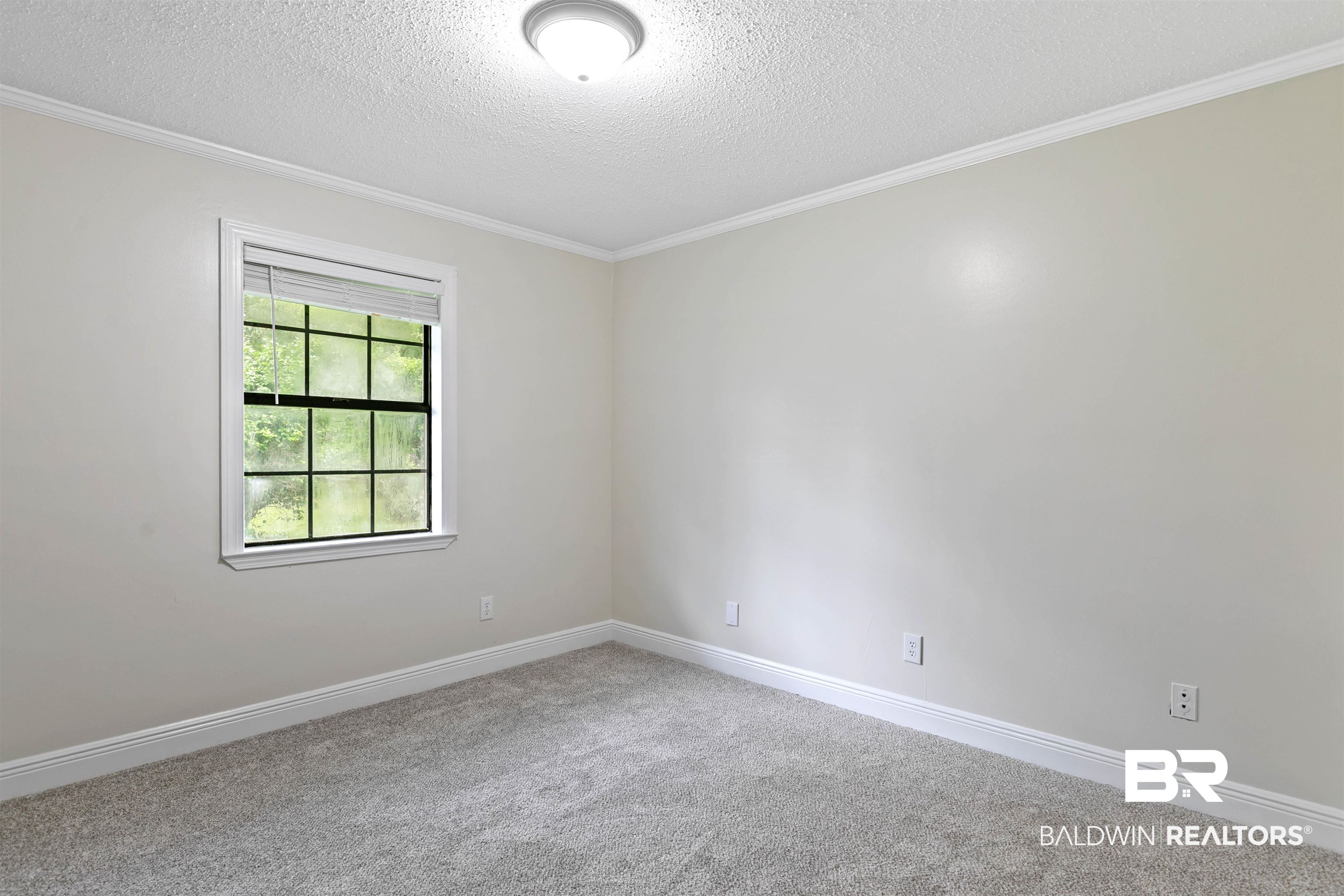 10420 Johnson Road South Mobile, AL 36695 - Photo 32 of 75 Neutral-toned interior featuring grey carpeting, white baseboards, and crown molding