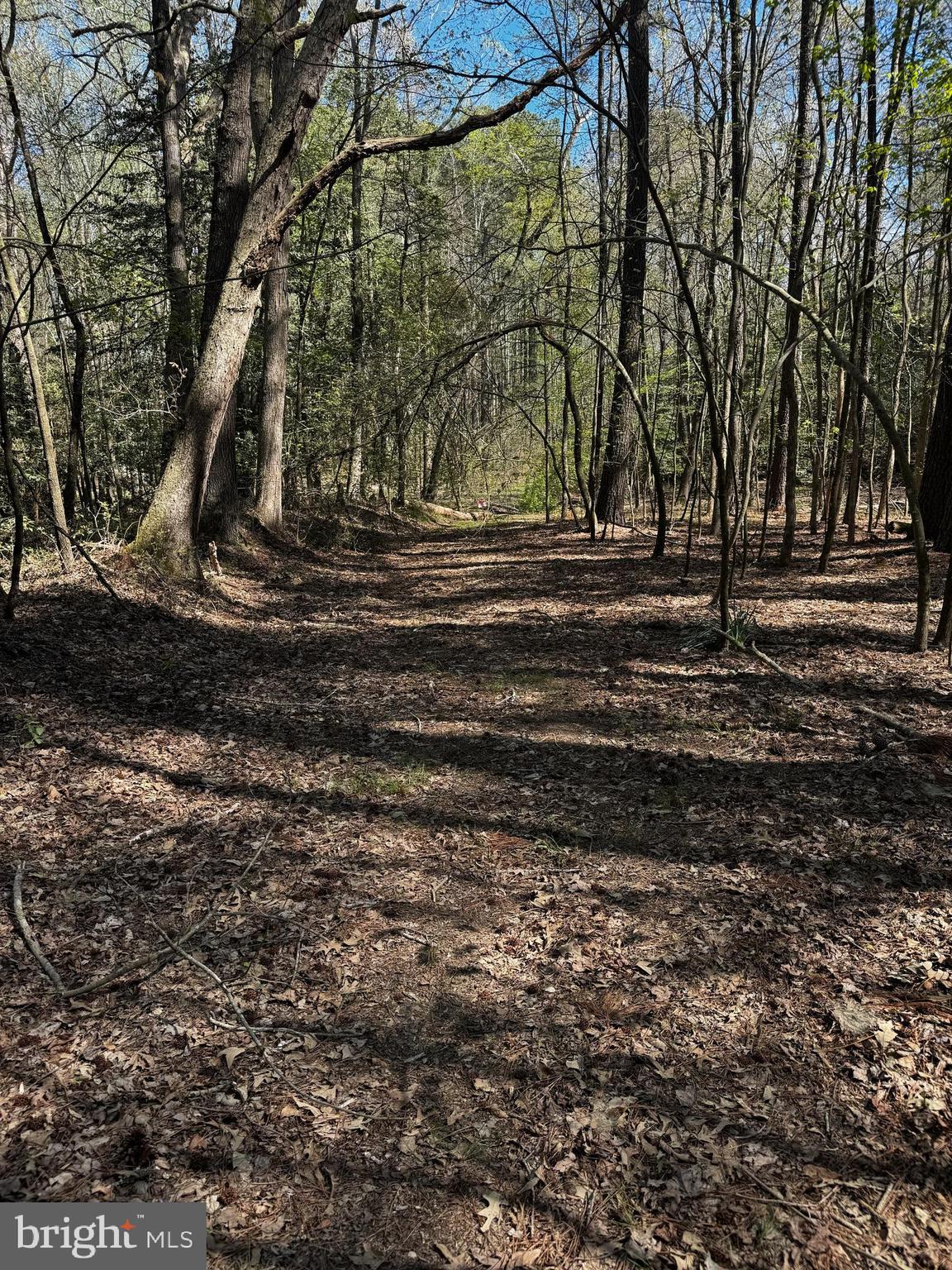 0 Public Landing Road Snow Hill, MD 21863 - Photo 1 of 1