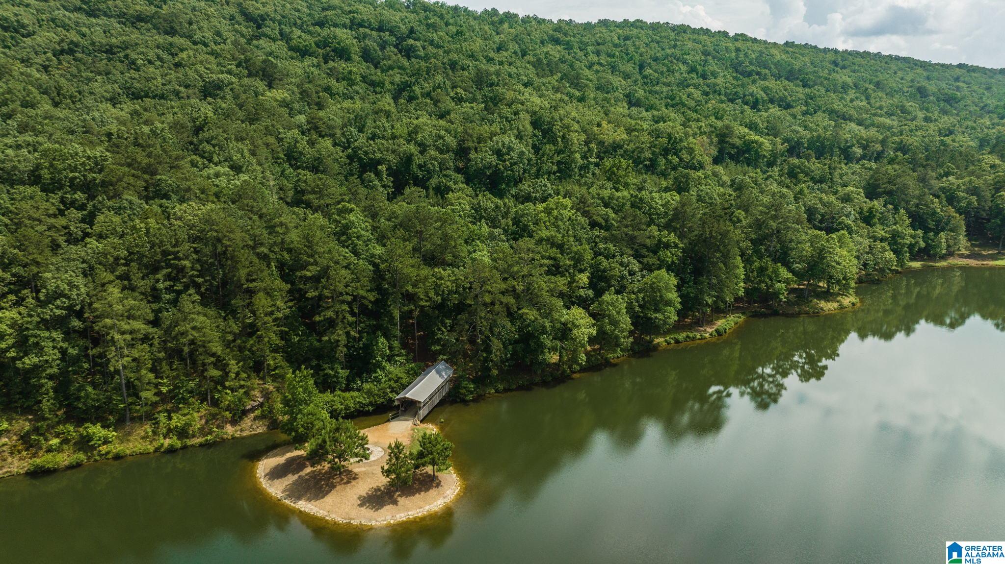 Lot 23 Saunders Bridge Road, Unit 23 Sterrett, AL 35147 - Photo 17 of 30