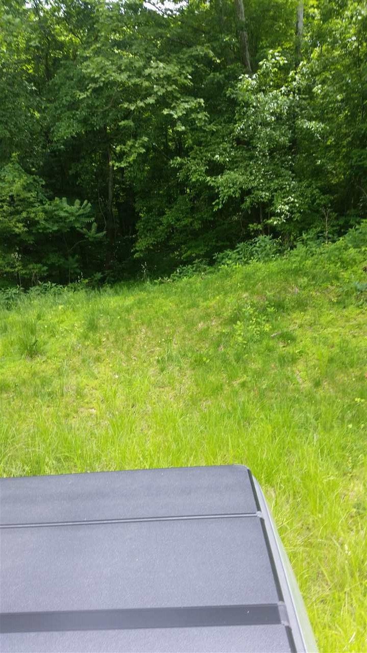 7196 Goose Run Road Lesage, WV 25537 - Photo 3 of 5 Gallery Image 3