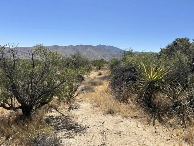 7 Carrizo Road Mountain Center, CA 92561 - Photo 3 of 4