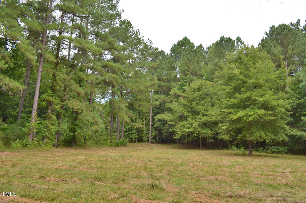 6308 Lancaster Store Road Spring Hope, NC 27882 - Photo 35 of 48 35