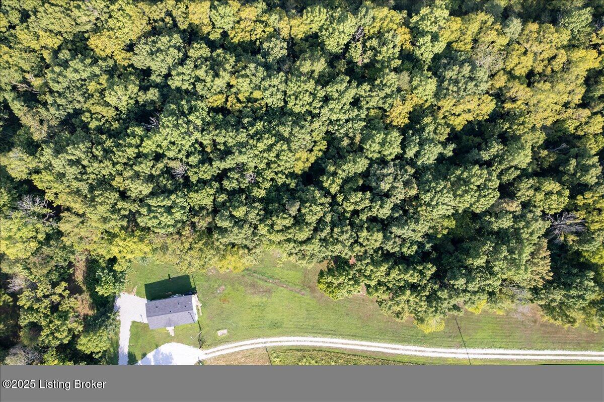 365 Roby Rdg Road Coxs Creek, KY 40013 - Photo 42 of 44 18-DJI_0269_fullres
