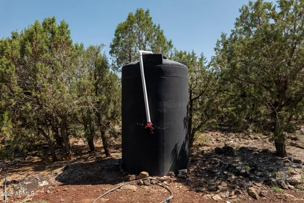 a view of a yard with large trees