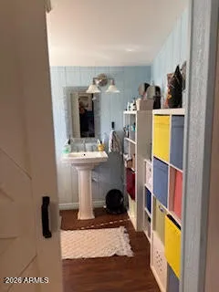 a view of a plants in a yard