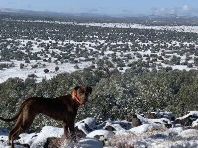 $450,000 | 42320 North Walk About Trail, Seligman, AZ 86337