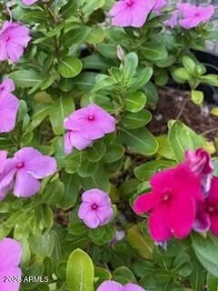 $450,000 | 42320 North Walk About Trail, Seligman, AZ 86337