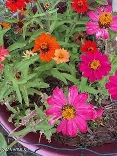 $450,000 | 42320 North Walk About Trail, Seligman, AZ 86337