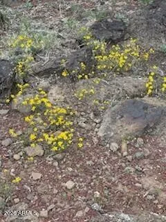 $450,000 | 42320 North Walk About Trail, Seligman, AZ 86337