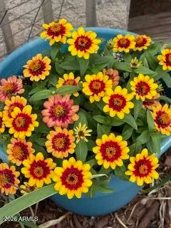 $450,000 | 42320 North Walk About Trail, Seligman, AZ 86337