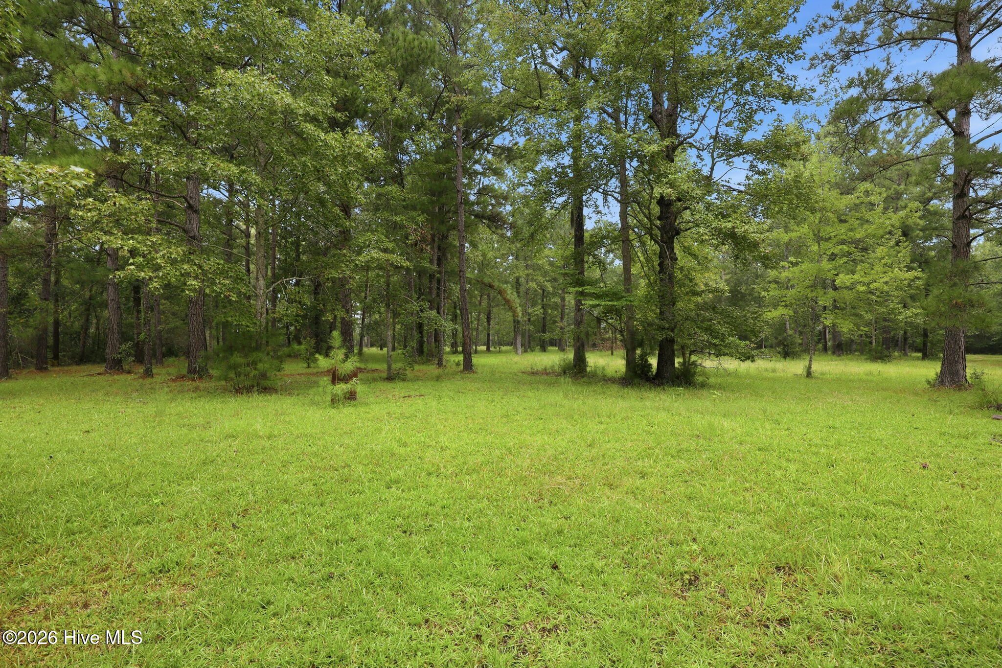 301 Seawell Farm Road Bayboro, NC 28515 - Photo 26 of 47 Gallery Image 26