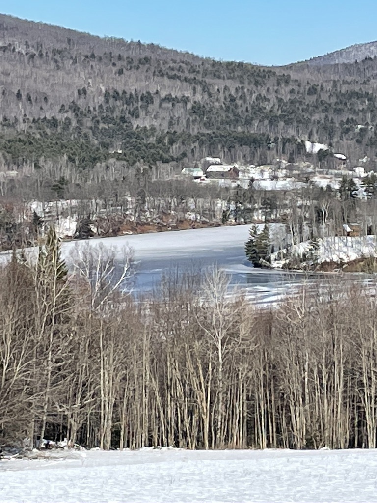 1566 Monroe Road Littleton, NH 03561 - Photo 9 of 30