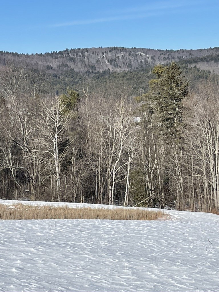 1566 Monroe Road Littleton, NH 03561 - Photo 10 of 30