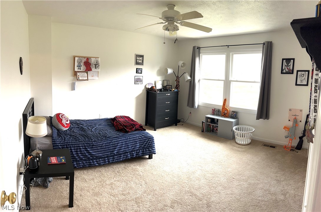 8133 Claus Road Amherst, OH 44001 - Photo 8 of 24 Gallery Image 8