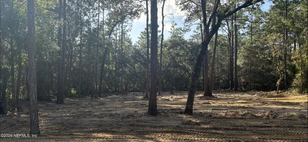 a view of outdoor space with trees