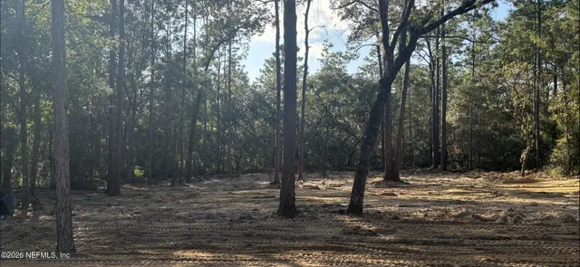 a view of outdoor space with trees