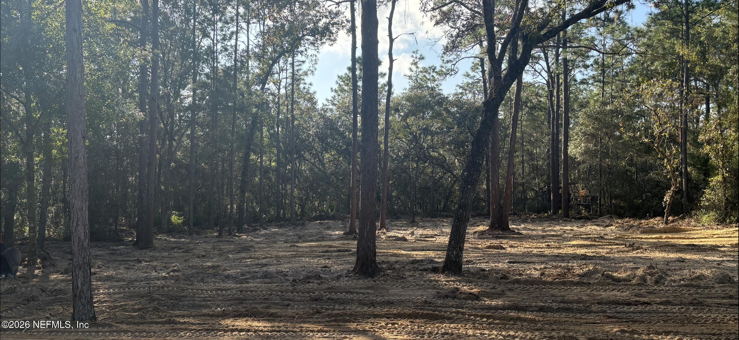 a view of outdoor space with trees