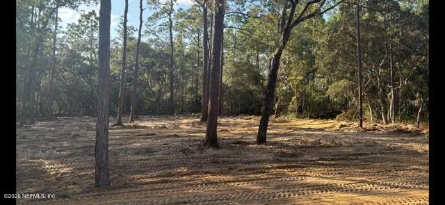 a view of a yard with tree s