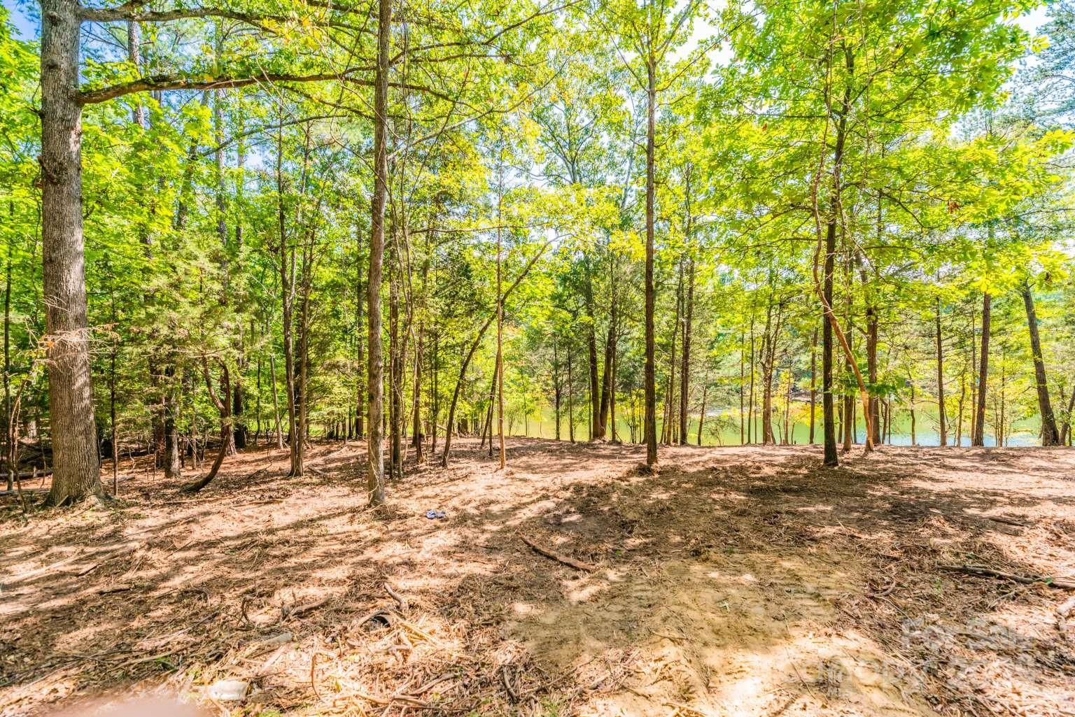 4389 Concord Road, Unit LOT 2B York, SC 29745 - Photo 2 of 2
