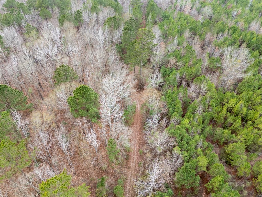 6052 Blocker Road Marshall, TX 75672 - Photo 4 of 22