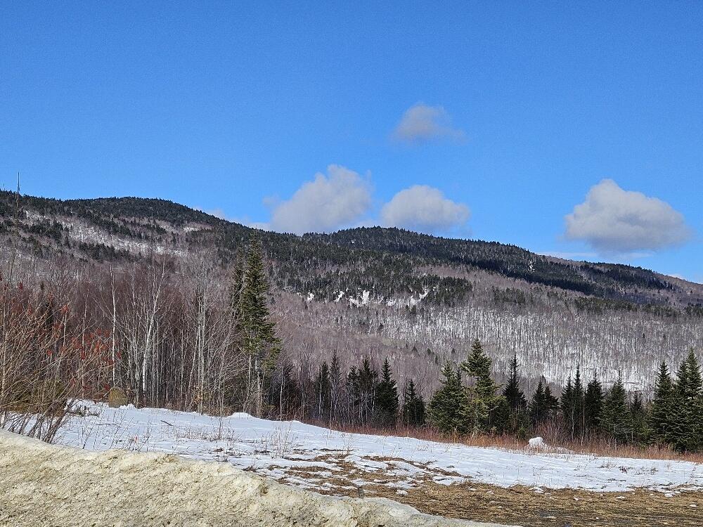Lot 9 East Moose Alley Road Temple, ME 04984 - Photo 19 of 46