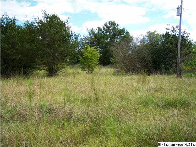 2231 Camp Brownie Road, Unit 5 AC Sylacauga, AL 35151 - Photo 12 of 15