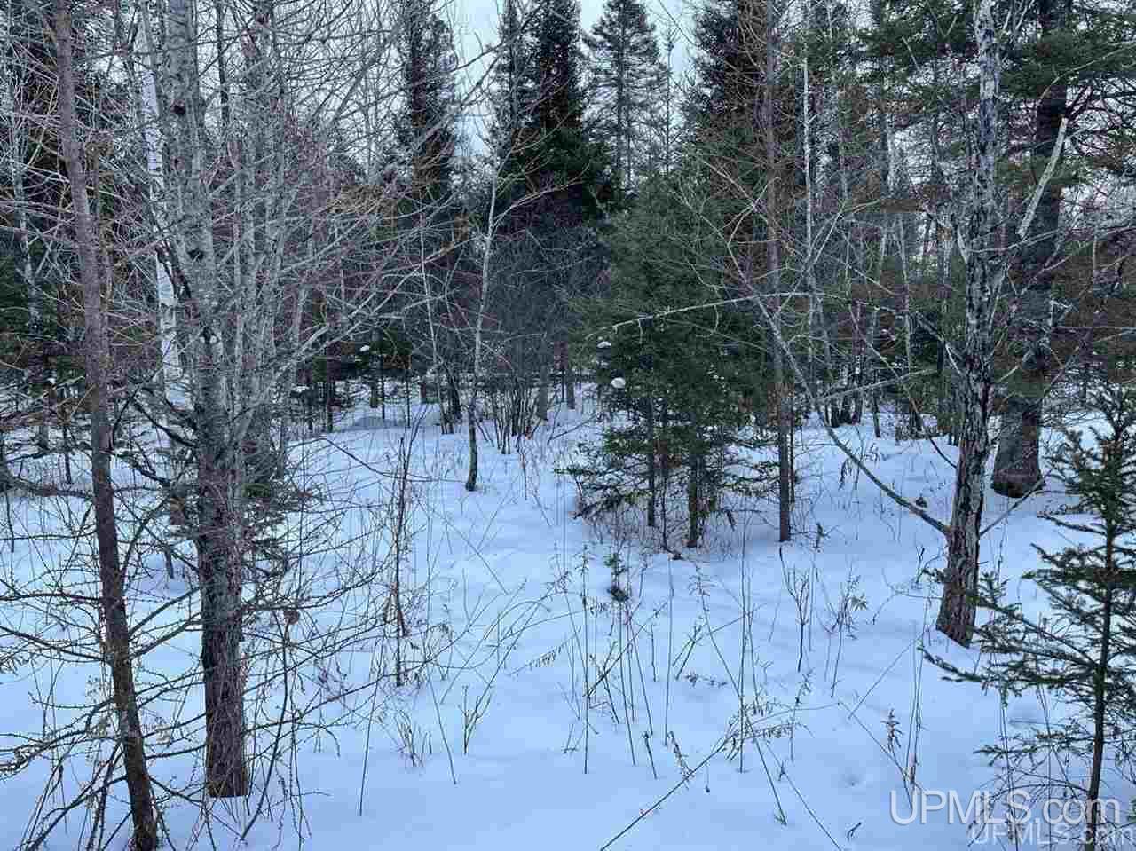 5959 North County Line Road Foster City, MI 49834 - Photo 17 of 19