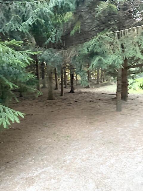 4327 Pier Road Benton Harbor, MI 49022 - Photo 26 of 35 IMG_3407