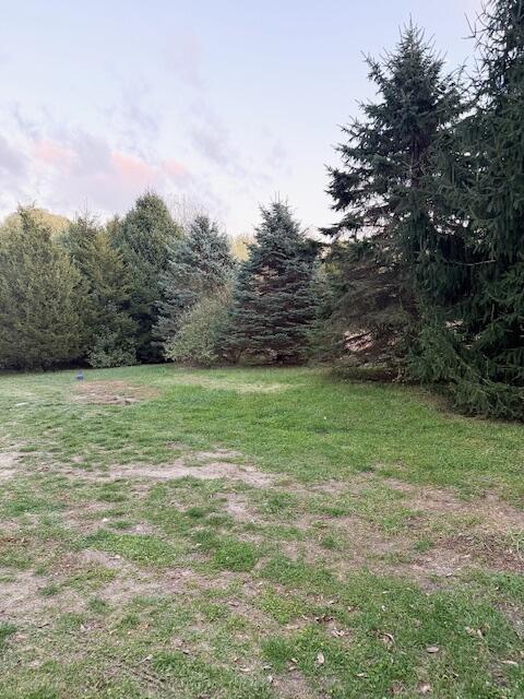 4327 Pier Road Benton Harbor, MI 49022 - Photo 33 of 35 IMG_3395