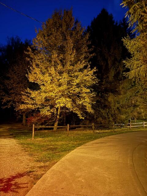 4327 Pier Road Benton Harbor, MI 49022 - Photo 9 of 35 IMG_3477