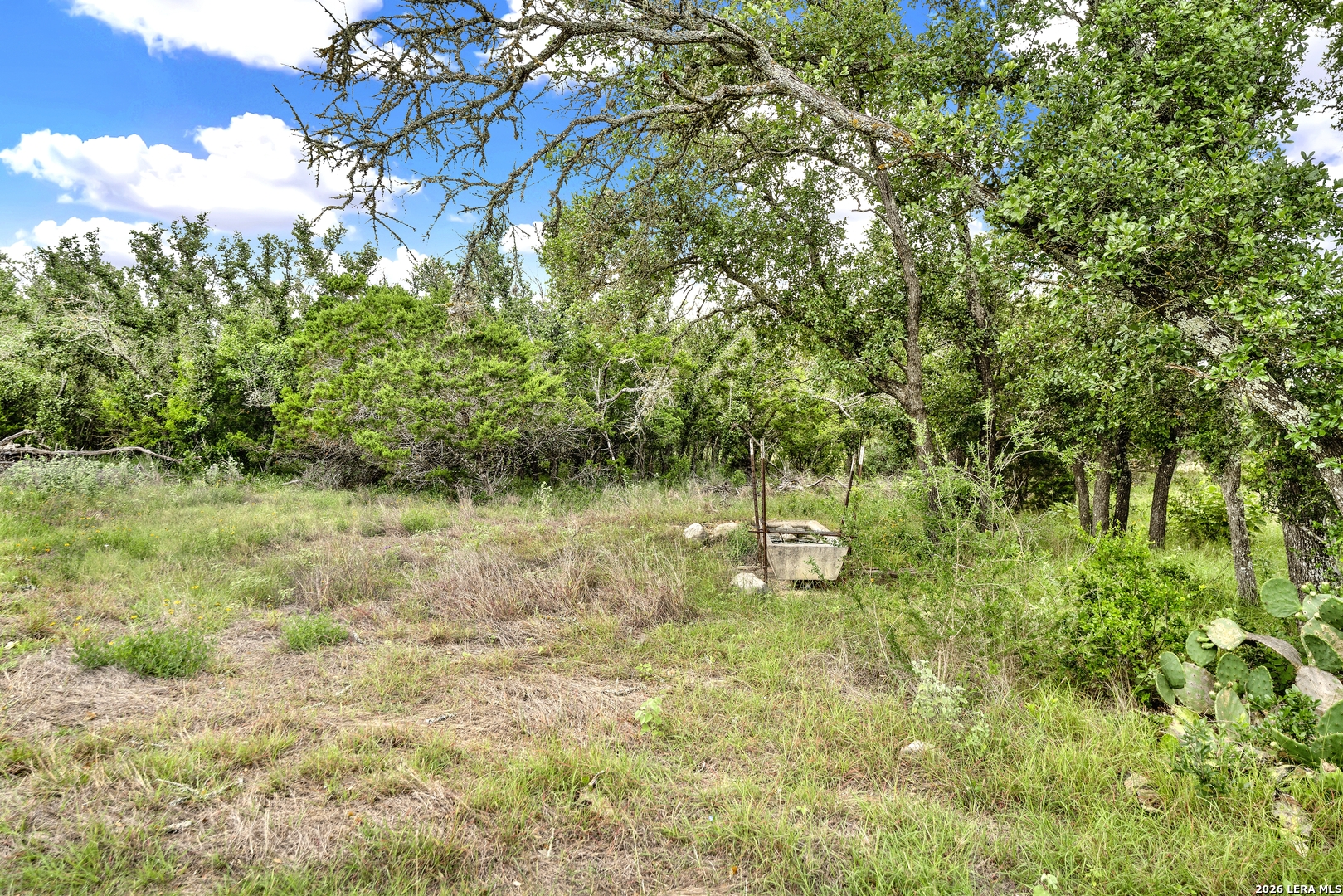 0 Fm 1796 D'Hanis, TX 78850 - Photo 21 of 26 a view of a yard with plants and large trees