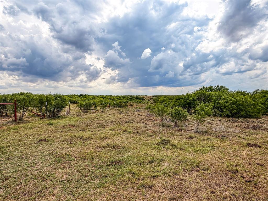 235 227 Haskell Tx 79521 Haskell, TX 79521 - Photo 5 of 40